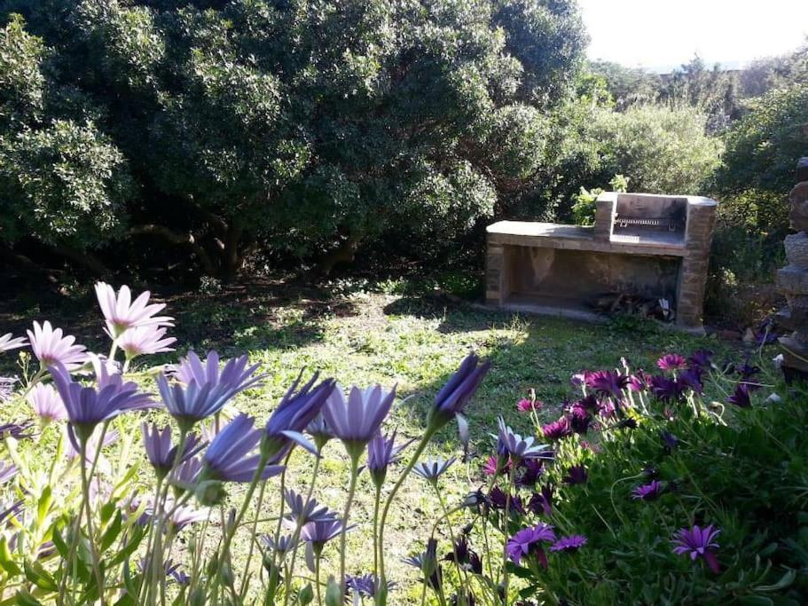 L' Elicriso, A Pochi Passi Dal Mare Con Giardino Privato - The Elicriso, A Few Meters From The Sea, With Private Garden Apartment Стинтино Екстериор снимка