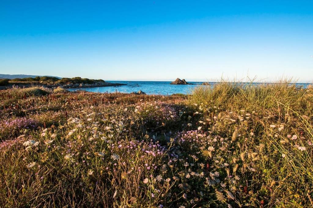 L' Elicriso, A Pochi Passi Dal Mare Con Giardino Privato - The Elicriso, A Few Meters From The Sea, With Private Garden Apartment Стинтино Екстериор снимка