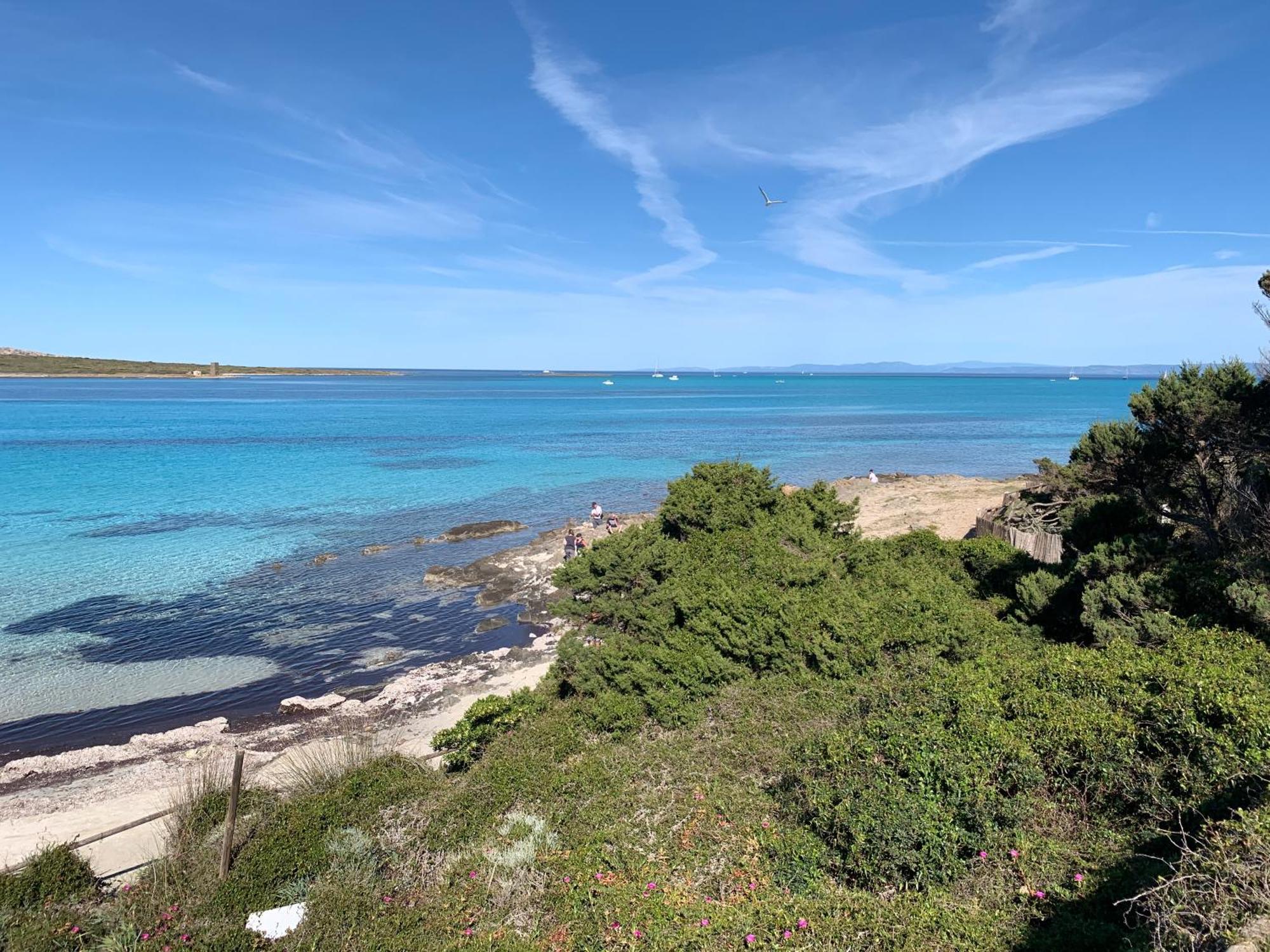 L' Elicriso, A Pochi Passi Dal Mare Con Giardino Privato - The Elicriso, A Few Meters From The Sea, With Private Garden Apartment Стинтино Екстериор снимка