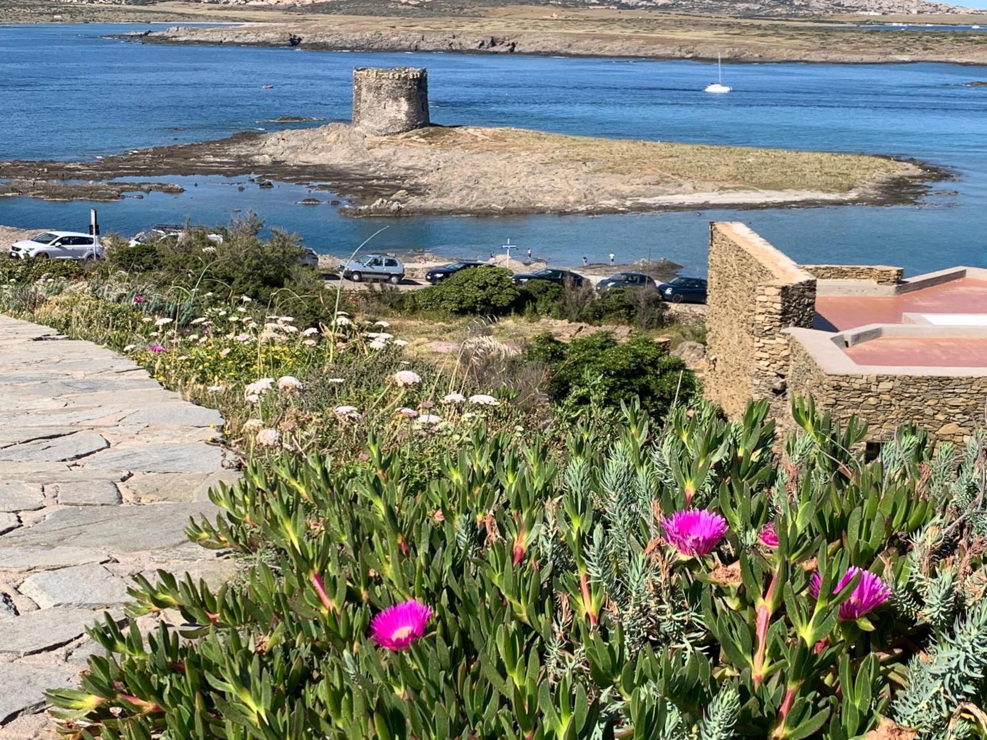 L' Elicriso, A Pochi Passi Dal Mare Con Giardino Privato - The Elicriso, A Few Meters From The Sea, With Private Garden Apartment Стинтино Екстериор снимка