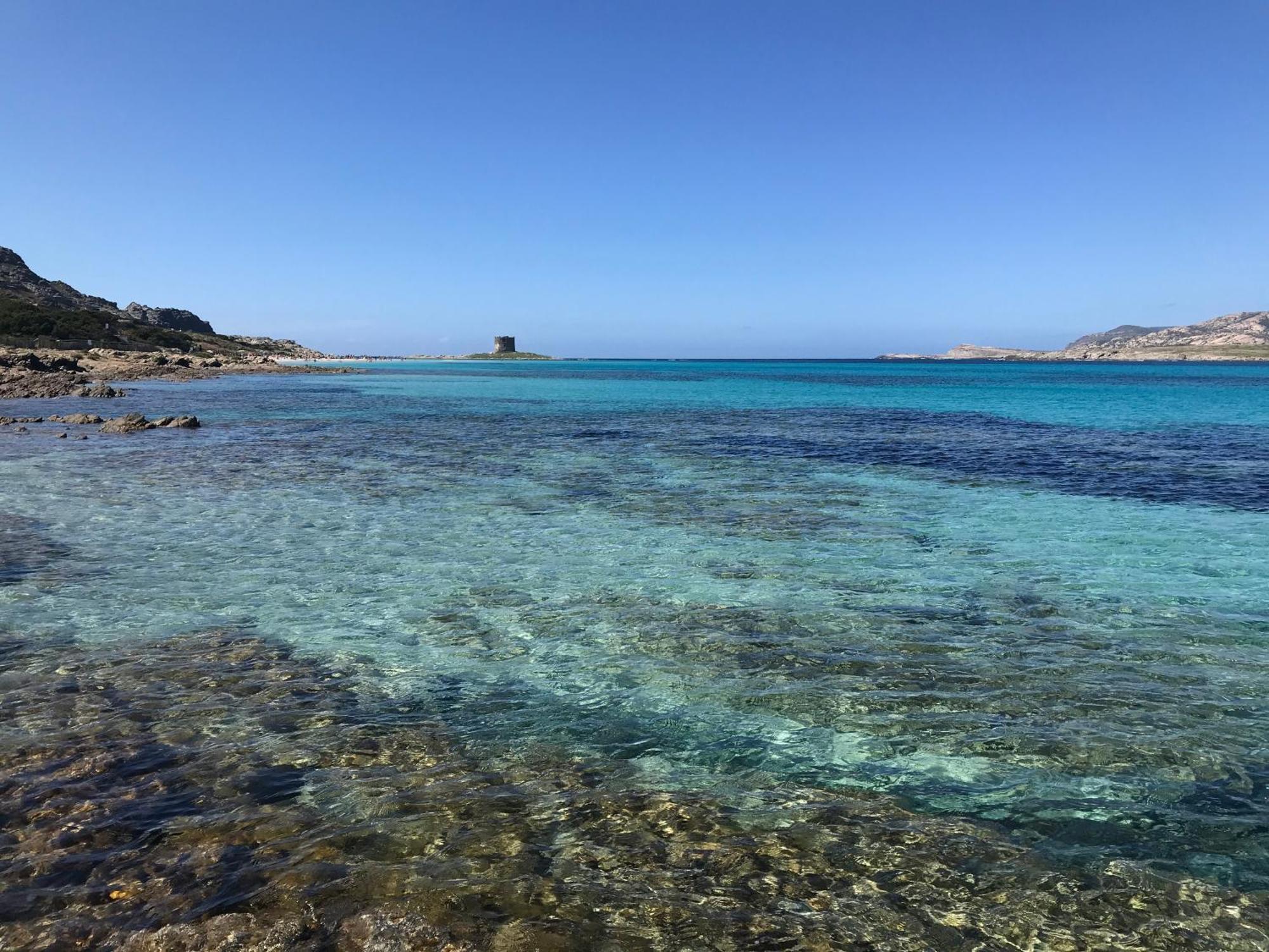 L' Elicriso, A Pochi Passi Dal Mare Con Giardino Privato - The Elicriso, A Few Meters From The Sea, With Private Garden Apartment Стинтино Екстериор снимка